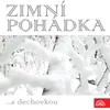 Zimní polka