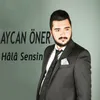 About Hâlâ Sensin Song