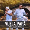 Vuela Papá