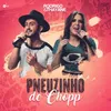 About Pneuzinho de Chopp Song