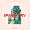 About If We Try Song