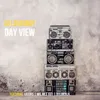 About Day View Song