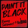 About Paint It Black Song