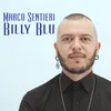 About Billy blu Song