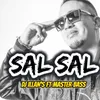 About Sal Sal Song