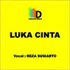 About Luka Cinta Song