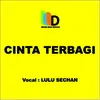 Cinta Terbagi