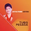 Tubis Pegaga