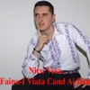 About Faina-I Viata Cand Ai Ban Song