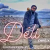 About Deli-Remix Song