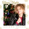 About Silent Night Song