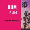 About Bum Bum Song