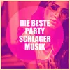 About Aber die Liebe bleibt Song