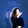 About Lila's Dream Song