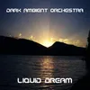 Liquid Dream-Long Version