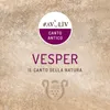 About VESPER-Il canto della natura Song