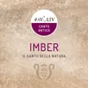 About IMBER-Il canto della natura Song