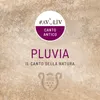 About PLUVIA-Il canto della natura Song