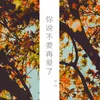 你说不要再爱了-Dj咚鼓版