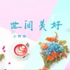 世间美好-女声版