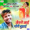 About Jetne Jai Gori Bujhai Song