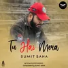 About Tu Hai Mera Song