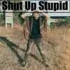 About Shut Up Stupid Song