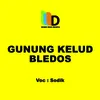 About Gunung Kelud Bledos Song