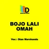 About Bojo Lali Omah Song