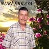 Türkmen Oğlu