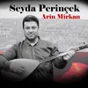 About Arin Mirkan Song