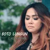 About Boto Lungun Song