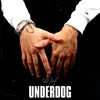 About Underdog Song