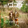 About לבבי Song