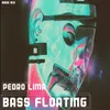 About Bass Floating Song