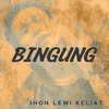 About Bingung Song