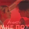 About Мне пох-Acoustic Version Song