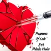 About Fragments Of Love Song