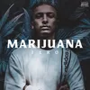 About Marijuana Song