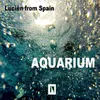 Aquarium-Dark Sea