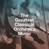 Brandenburg Concerto No. 2 in F Major, BWV 1047: III. Allegro Assai