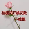 桔梗花开桃花败-伴奏