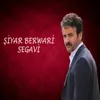 Cizre Segavi-4