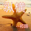 About 纵横 Song