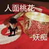 About 人面桃花 Song