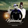 About Ndibizeleni Song