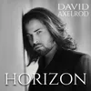Horizon-Instrumental Version