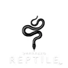 About Reptile Song