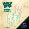 Puma Punku-Lenny Fontana Radio Remix