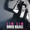 About Zim Zim Song